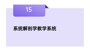 系统解剖学教学系统