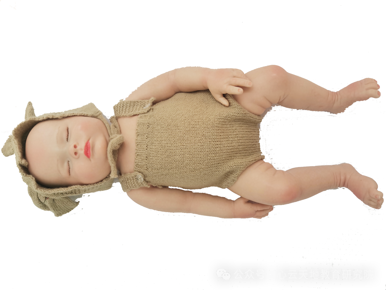 微信图片_20250513100248.png 微信图片_20250513100248.png