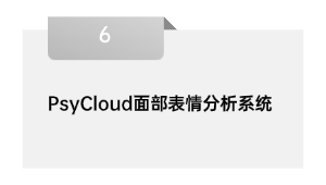 PsyCloud面部表情分析系统